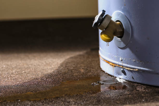 Best 24/7 water damage repair  in Elmwood, LA