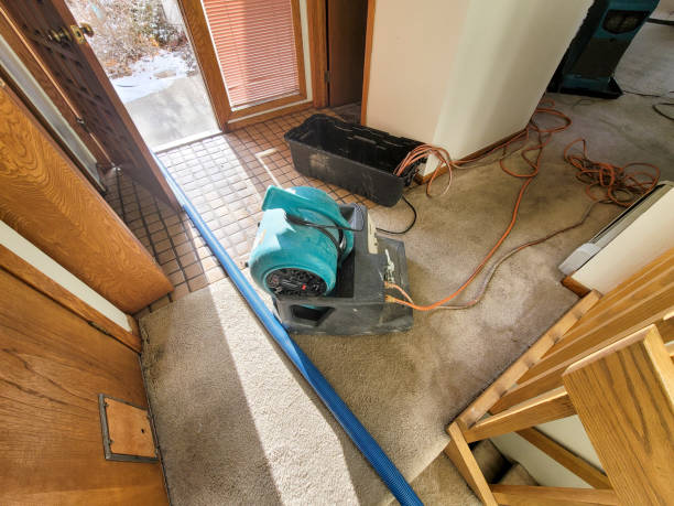 Best Sewage cleanup and water damage restoration  in Elmwood, LA