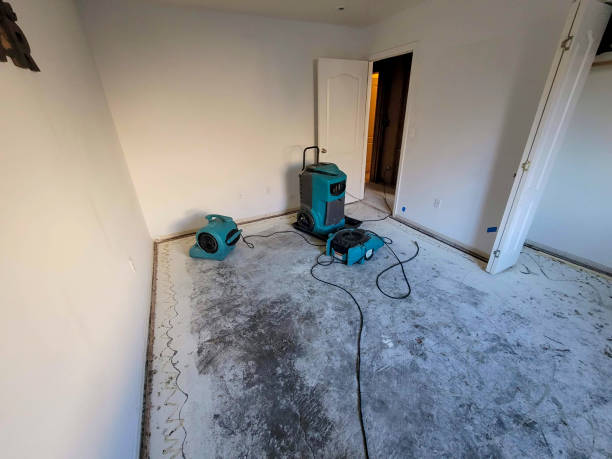 Best Water damage contractors near me  in Elmwood, LA