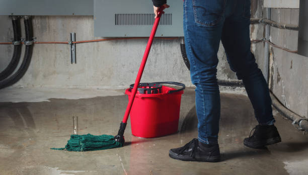 Best Water damage cleanup near me  in Elmwood, LA