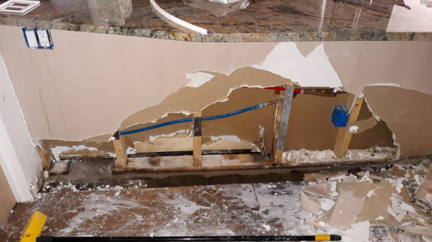 Best Water damage restoration experts  in Elmwood, LA