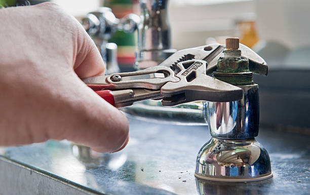 Best Basement water damage restoration  in Elmwood, LA