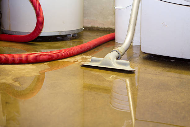Best Fire Damage Restoration  in Elmwood, LA