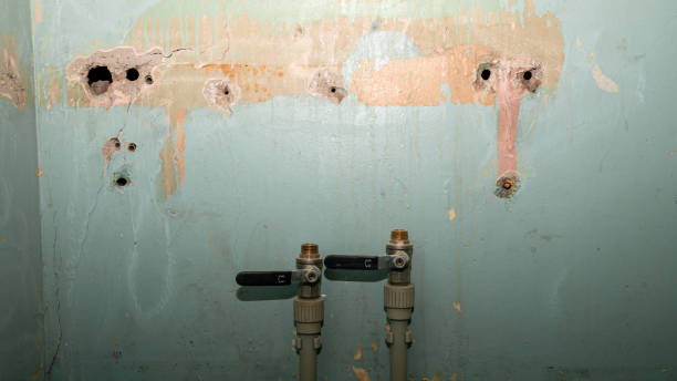 Best Residential water damage restoration  in Elmwood, LA