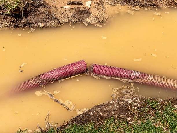 Best Carpet water damage restoration  in Elmwood, LA